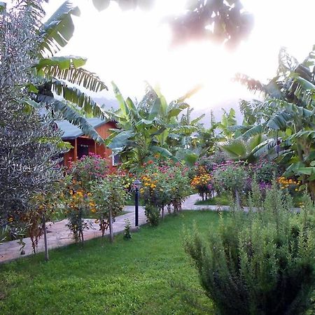 Estelar Bungalow Çıralı Ngoại thất bức ảnh