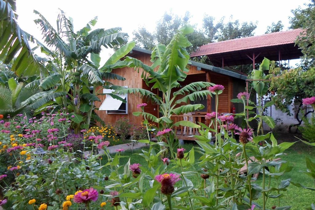 Estelar Bungalow Çıralı Ngoại thất bức ảnh