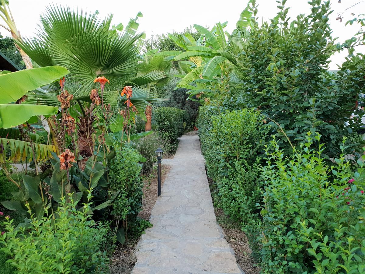 Estelar Bungalow Çıralı Ngoại thất bức ảnh